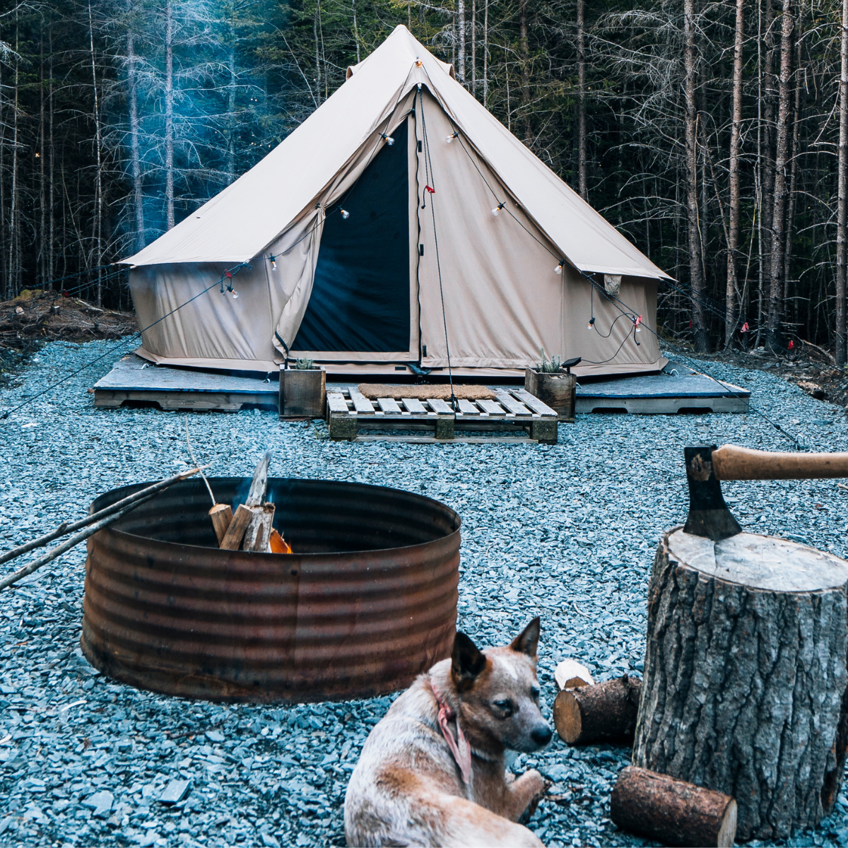 Regatta Bell Tent sandstone beige with a campfire and dog in front