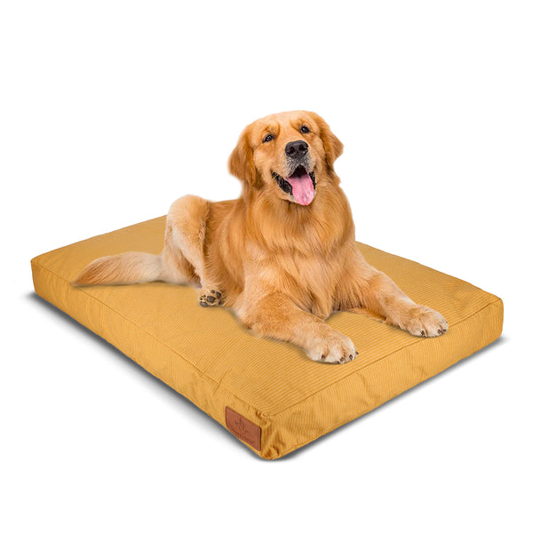 Dog bedding for outside kennels best sale