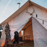 alpha wall tent set up with a chimney coming out of the stove jack and a dog sitting in front of it