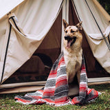 avalon bell tent with dog sitting in front of it