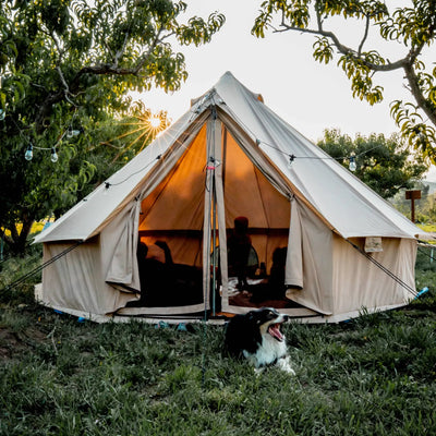 Festival tents image2